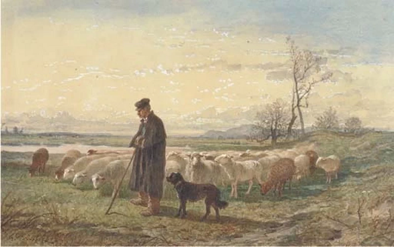 Un pastore con il suo gregge